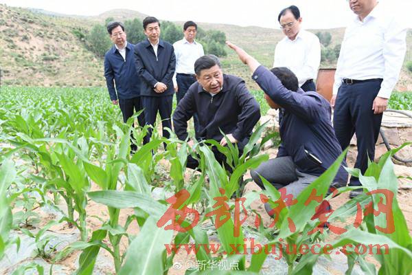 1498179209111435.jpg 13.jpg