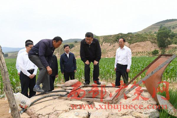 1498179281109378.jpg 14.jpg