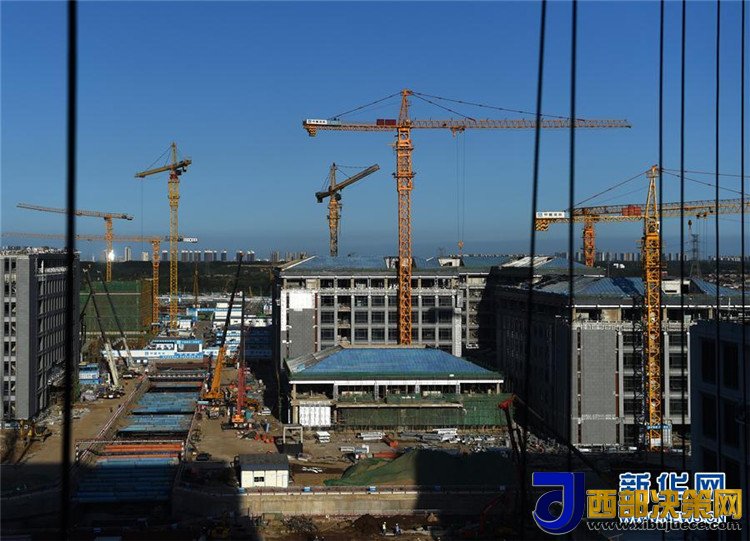 1506477823109804.jpg 4.jpg