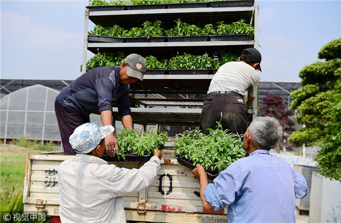 數(shù)字經(jīng)濟已經(jīng)成為我國經(jīng)濟社會更好發(fā)展的重要推動力，也為我國鄉(xiāng)村發(fā)展提供了新的歷史機遇。（圖片來源：視覺中國）