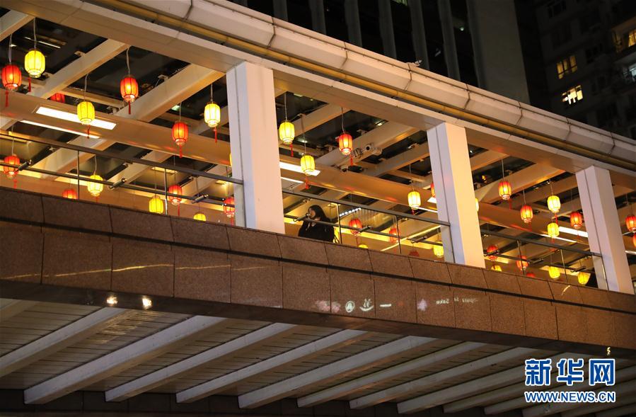 (社會)(3)小豬快來