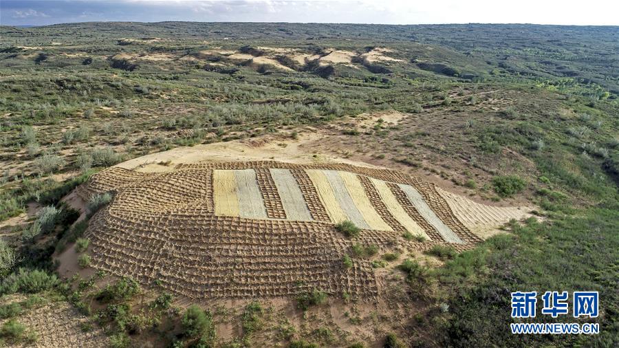 （壯麗70年·奮斗新時代——共和國發(fā)展成就巡禮·圖文互動）（6）生態(tài)美、百姓富——品讀嶄新“寧夏畫卷”