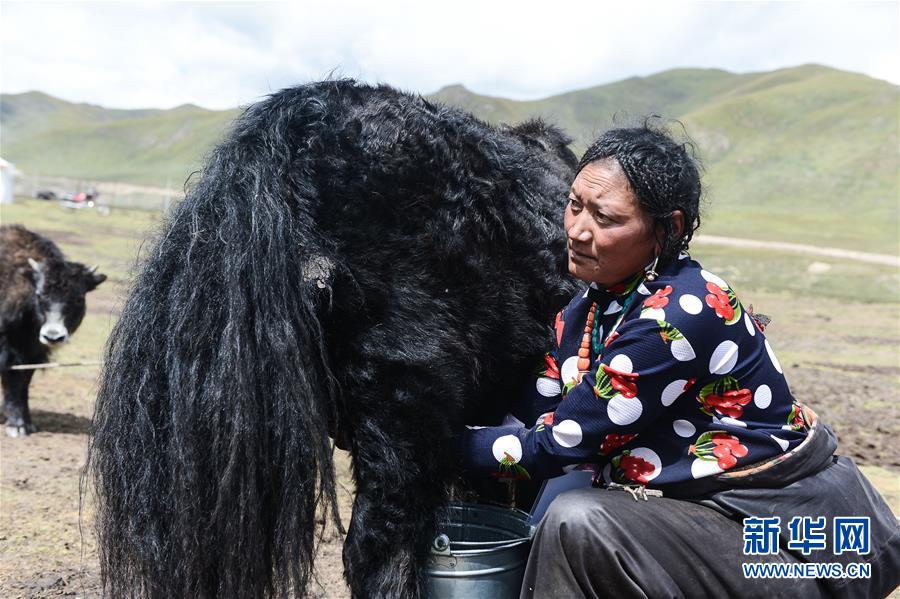 (新華全媒頭條·決戰(zhàn)決勝脫貧攻堅·圖文互動)(4)在青山綠水間跨越千年——青海探索生態(tài)脫貧之路報告