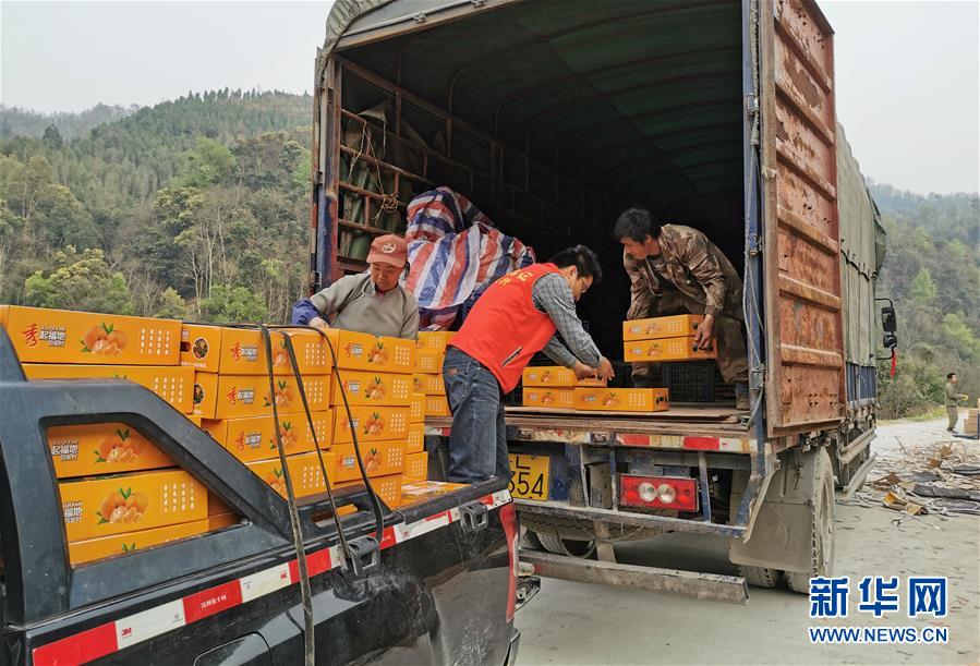 (決戰(zhàn)決勝脫貧攻堅(jiān)·圖文互動)(6)另一種“逆行”——廣西5300余名駐村第一書記提前返崗?fù)渡怼皟删€作戰(zhàn)”