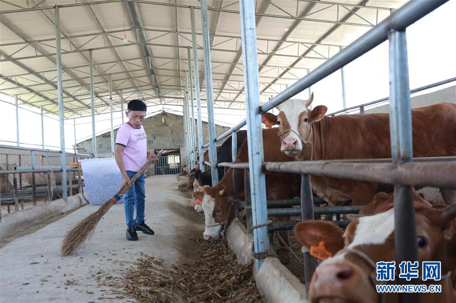 (新華全媒頭條·圖文互動(dòng))(7)刺梨花開(kāi)滿(mǎn)山紅——記在貴州脫貧攻堅(jiān)一線(xiàn)奮斗的殘疾人