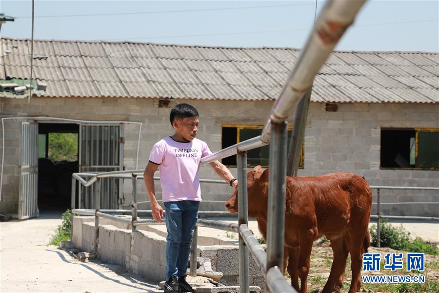 (新華全媒頭條·圖文互動(dòng))(8)刺梨花開(kāi)滿(mǎn)山紅——記在貴州脫貧攻堅(jiān)一線(xiàn)奮斗的殘疾人