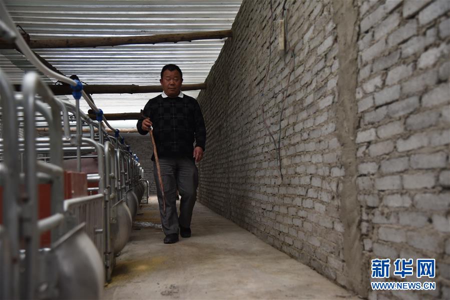 (新華全媒頭條·圖文互動(dòng))(6)刺梨花開(kāi)滿(mǎn)山紅——記在貴州脫貧攻堅(jiān)一線(xiàn)奮斗的殘疾人