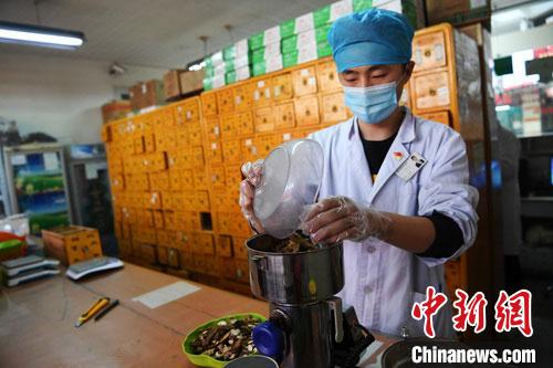 疫情發(fā)生以來，甘肅確保所有病例盡早、及時(shí)、全程使用中醫(yī)中藥，努力做到“一患一方案”。(資料圖) 楊艷敏 攝