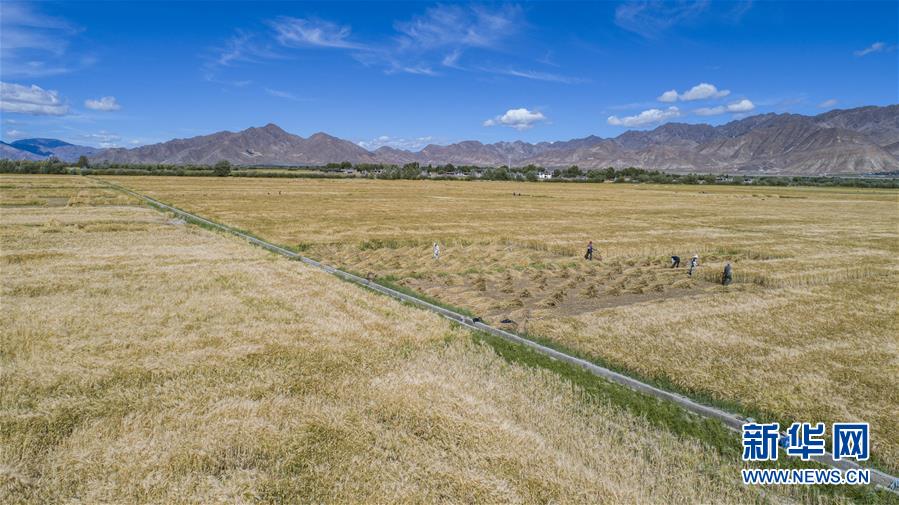 （新華全媒頭條·走向我們的小康生活·圖文互動(dòng)）（11）扎西德勒，我們的新家園——西藏易地扶貧搬遷搬出幸福美好新生活