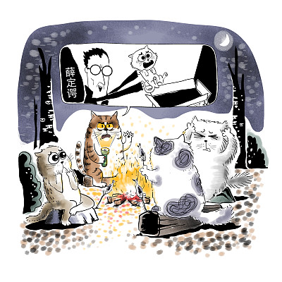 ▲物理學(xué)家薛定諤曾用一只貓比喻量子疊加。圖片來源：視覺中國