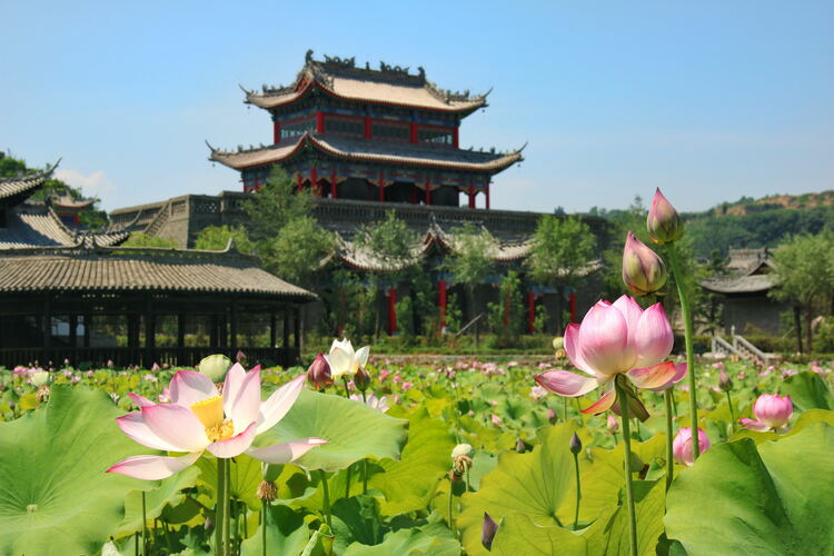 【云游渭南】心中若有桃花源，此處便是水云間！待疫情散盡，一起來渭南桃花源賞美景、觀民俗、享美食_fororder_2