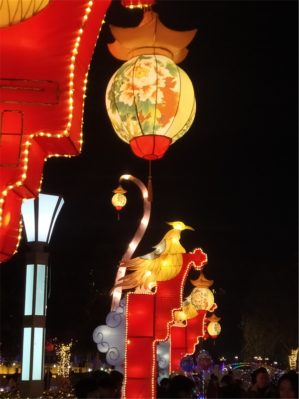 【網(wǎng)絡中國年·新春走基層】花燈璀璨賀新春 陜西各地年味濃_fororder_圖片3