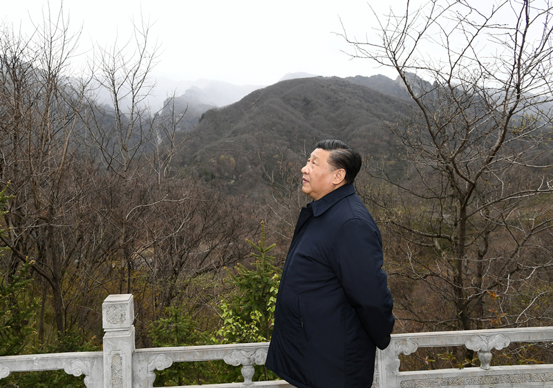 2020年4月20日，習(xí)近平在陜西秦嶺牛背梁國家級自然保護區(qū)，了解秦嶺生態(tài)保護工作情況。