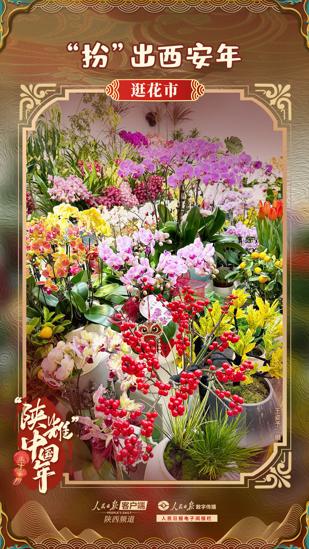 41a8e7012bde25de6255f7f0edc571f4_.jpg?x-oss-process=style/w10